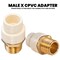 Everflow MIPxPVC Adapter Pipe Fitting 1" BRCPM100-NL - alternate 7